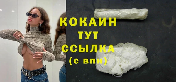 стаф Аркадак