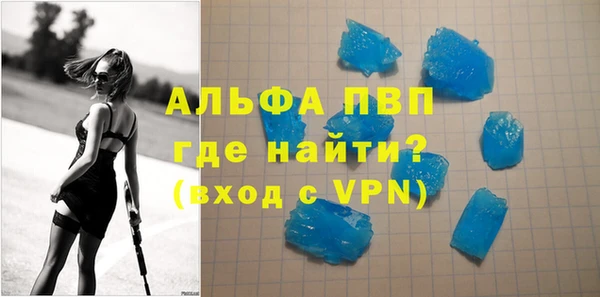 стаф Аркадак