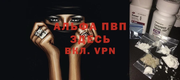 гидра Арсеньев