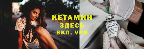 стаф Аркадак