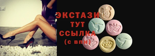 стаф Аркадак