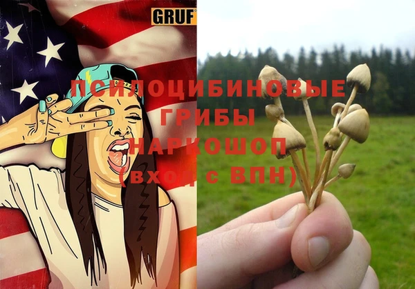 гидра Арсеньев