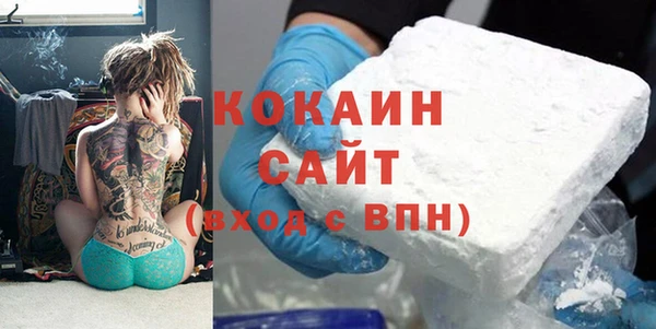 гидра Арсеньев