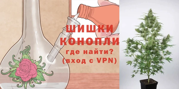 гидра Арсеньев