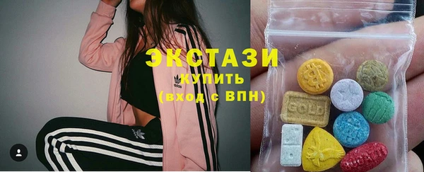гидра Арсеньев