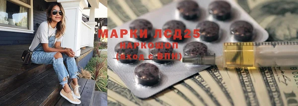 стаф Аркадак